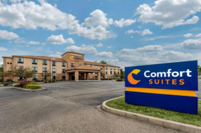 Comfort Suites Dayton-Wright Patterson, Dayton